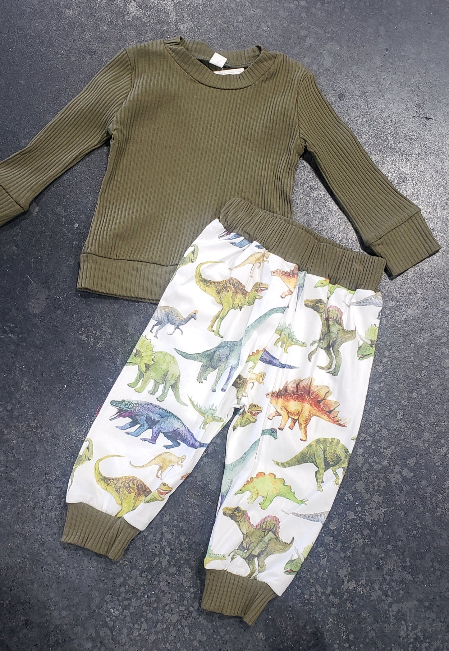 Ribbed Dino Two Piece Jogger Set