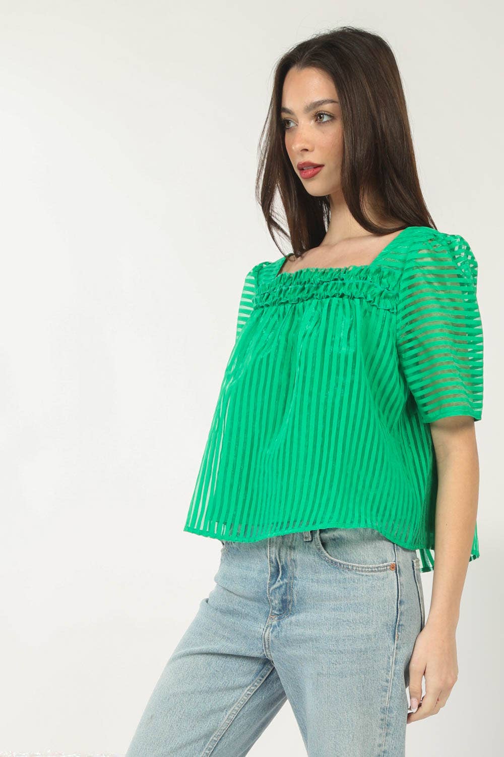 Puff Sleeve Organza Stripe Sheer Blouse Top